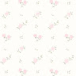 Meet your Posher, Naia cooke